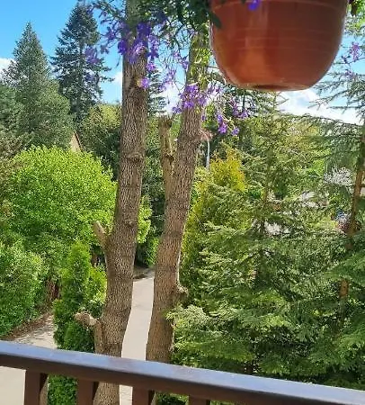 Πανσιόν Veronika 3*