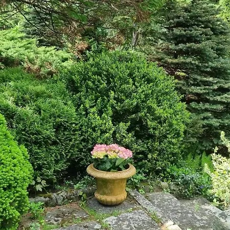 Vendégház Veronika Lądek-Zdrój