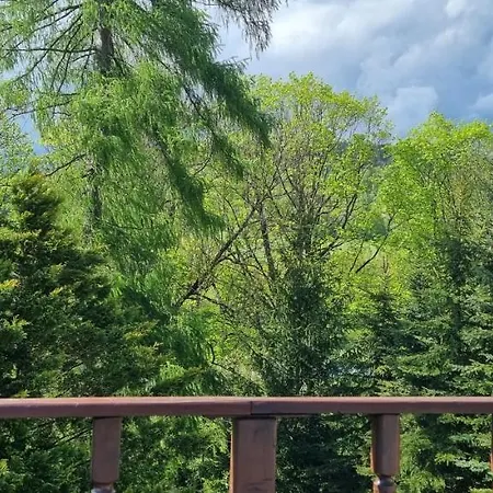 Veronika Vendégház 3*