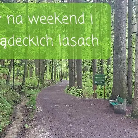 Veronika Lądek-Zdrój