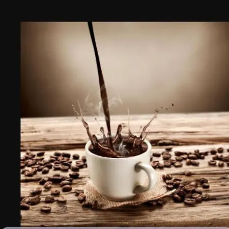 Veronika Vendégház Lądek-Zdrój