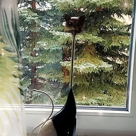 Veronika Casa de hóspedes