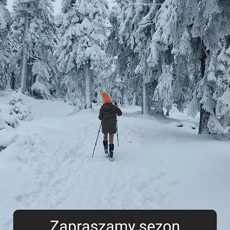 Veronika