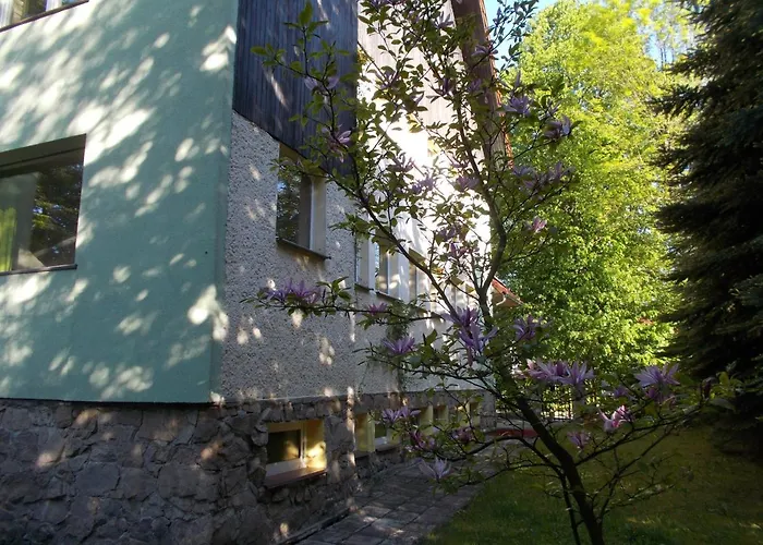 게스트하우스 Veronika 3*