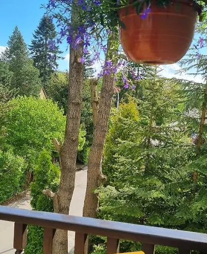 Гостевой дом Veronika 3*