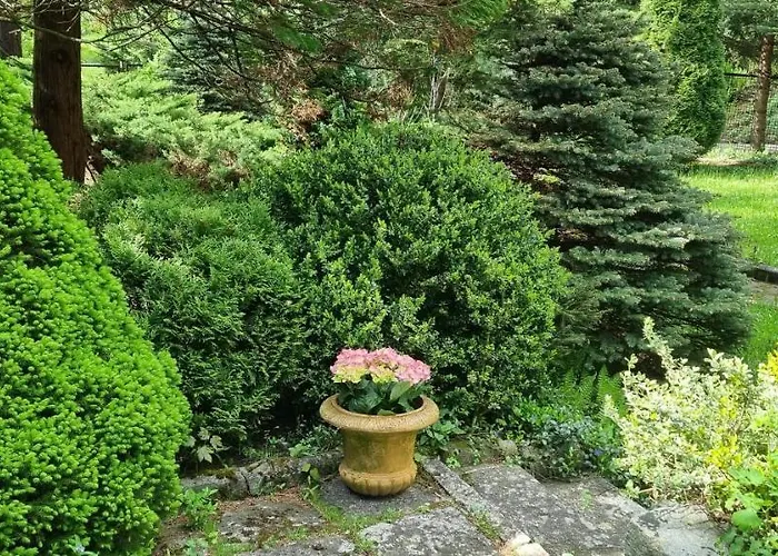 게스트하우스 Veronika Lądek-Zdrój