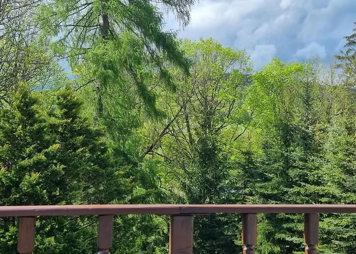 Veronika Gasthuis 3*