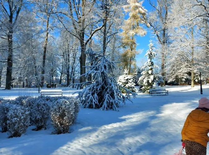 게스트하우스 Veronika Lądek-Zdrój