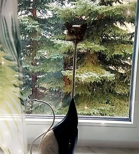 Veronika Гостевой дом